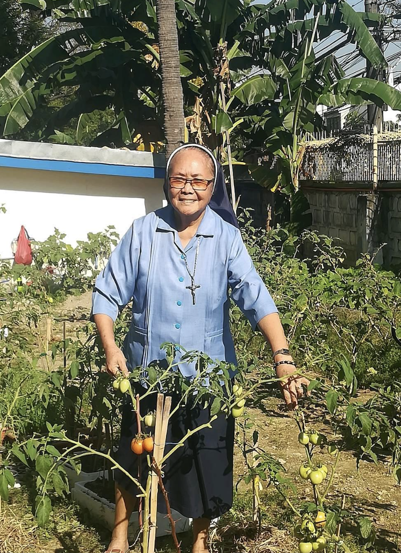 Perfil do Participante: Uma Vida em Direção à Laudato Si’