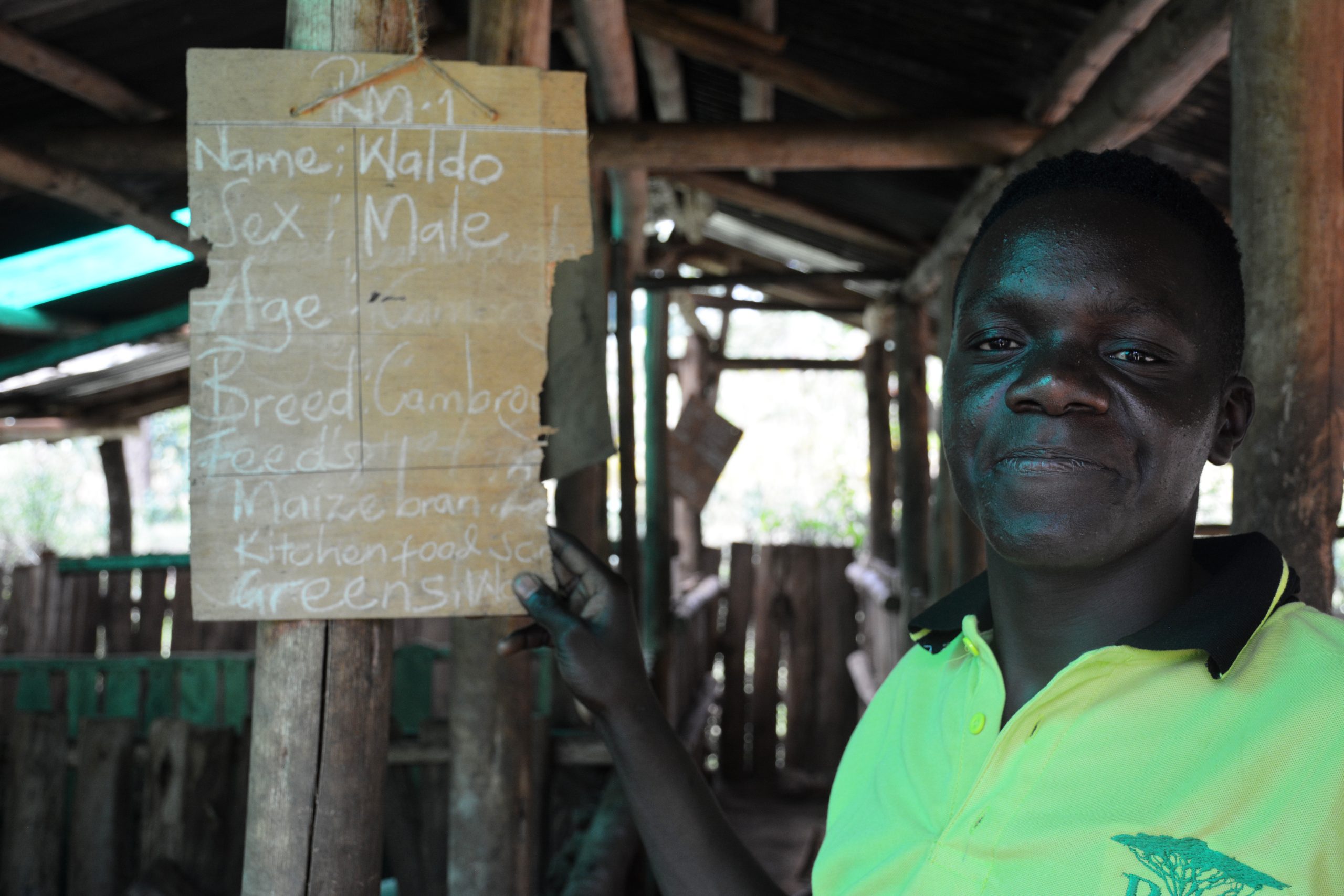 Instituto Bethany Land: Restaurando a Terra e a Esperança em Uganda