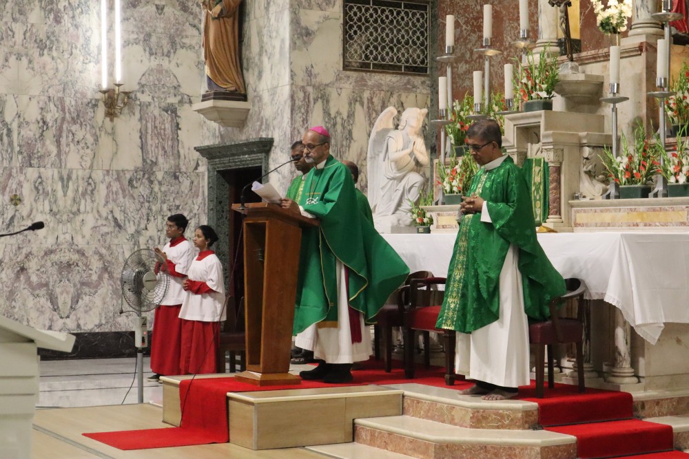 Fazendo as Pazes com a Criação: Reflexões da Arquidiocese de Bombaim