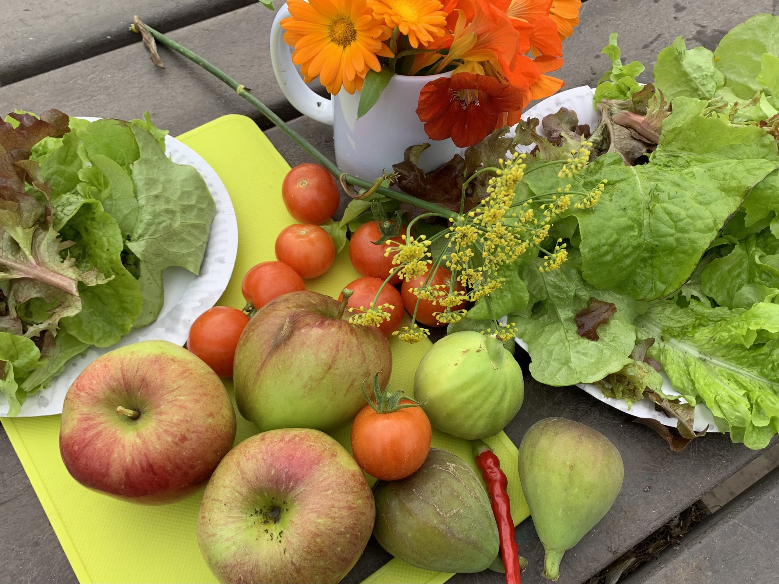 “Nada É Pequeno Demais”: A Província Europeia da Sociedade do Santo Menino Jesus