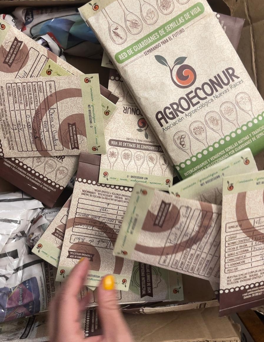 Sementes de Esperança para a Nossa Casa Comum: Uma Aliança pela Biodiversidade e pela Ecologia Integral na Colômbia