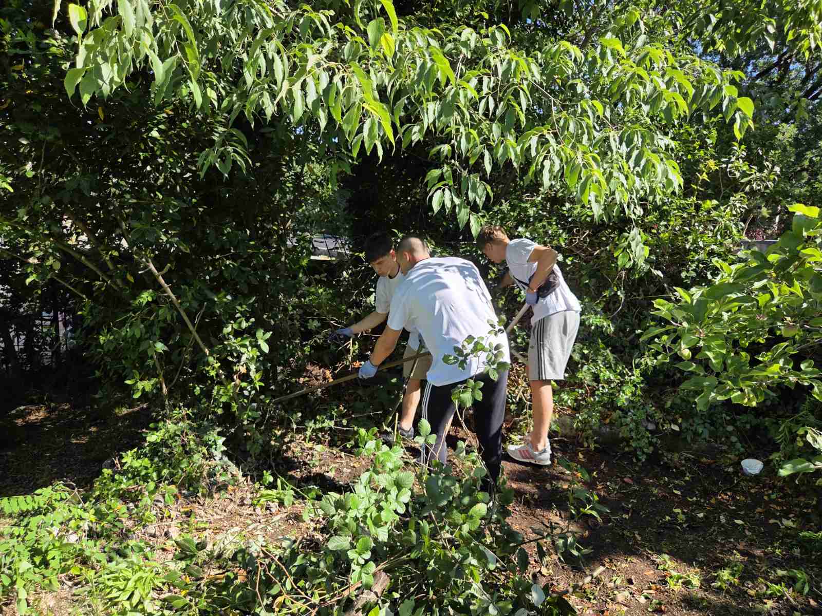 Dos Bispos às Paróquias: Como a Croácia está Construindo um Caminho Compartilhado para a Ecologia Integral